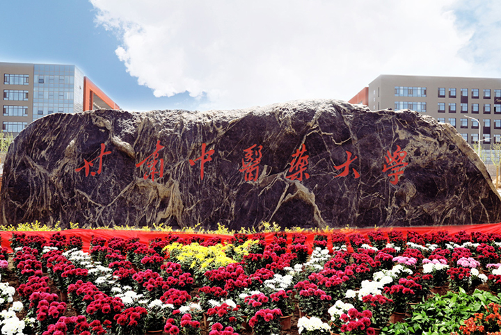 甘肃中医药大学成人教育学生平台